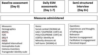 Feasibility and acceptability of experience sampling among LGBTQ+ young people with self-harmful thoughts and behaviours